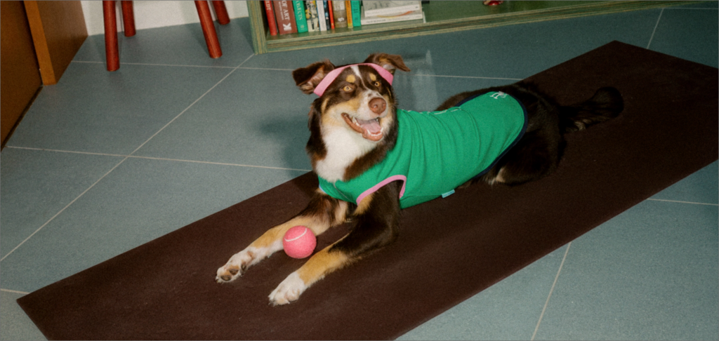 YOGA & PILATES WITH PETS