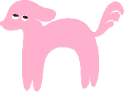 Not Another Pet Fair