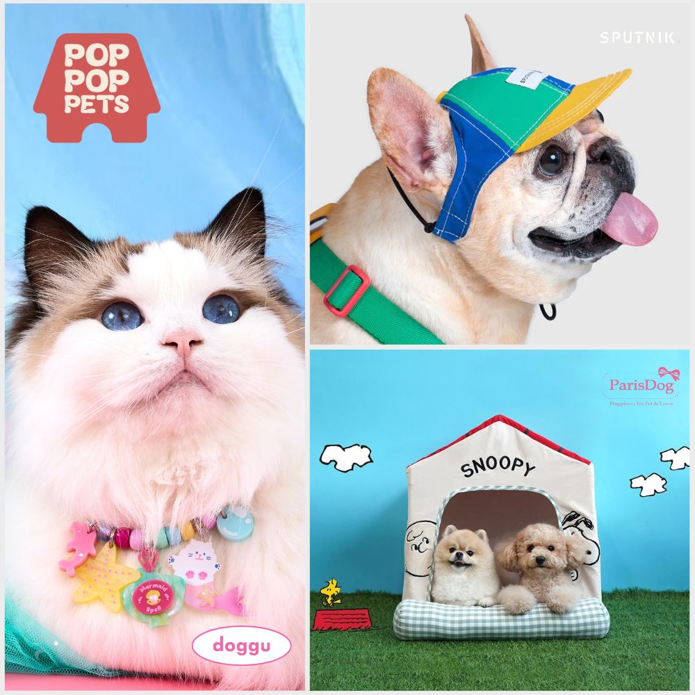 Pop Pop Pets