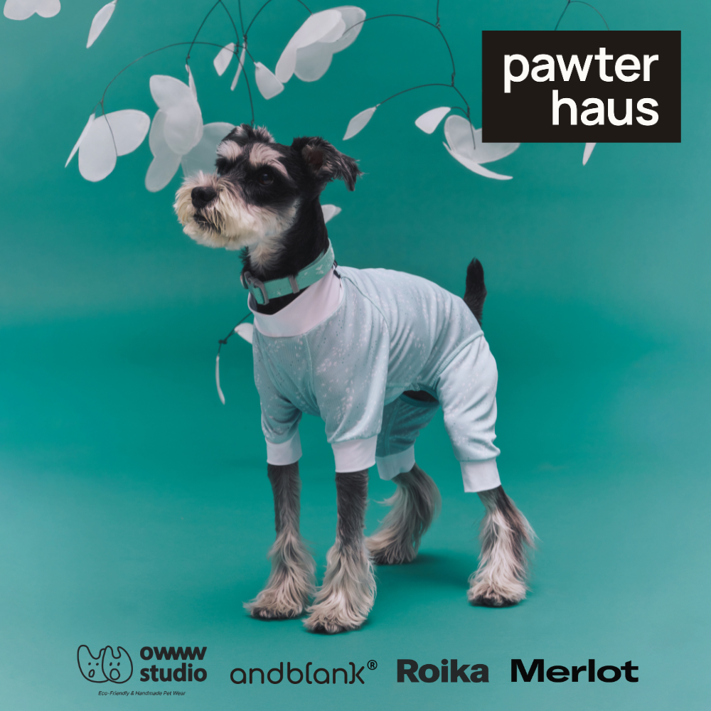 pawter haus