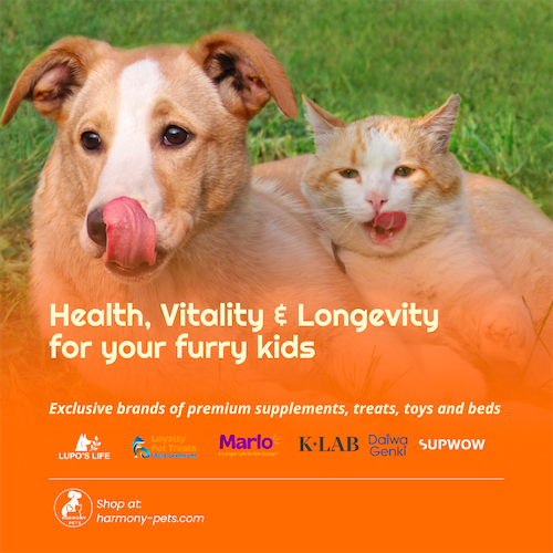 Harmony Pets