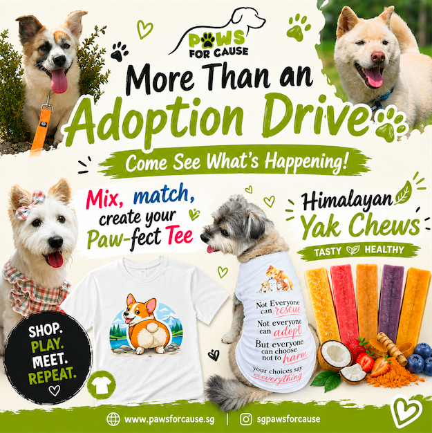 Paws For Cause