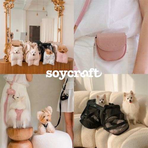 SoyCraft