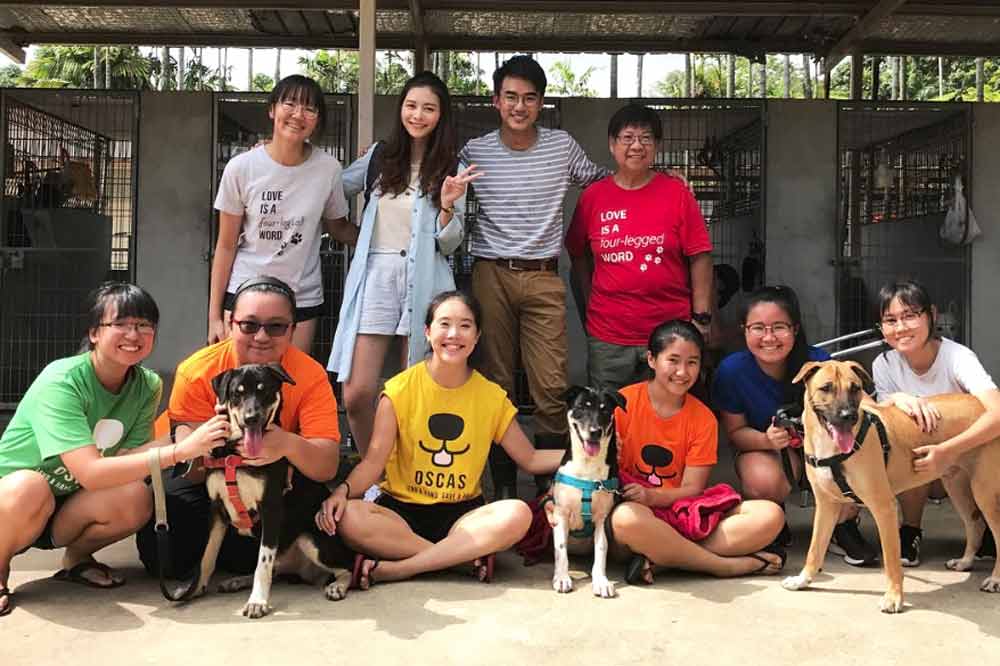 PET ADOPTION ZONE