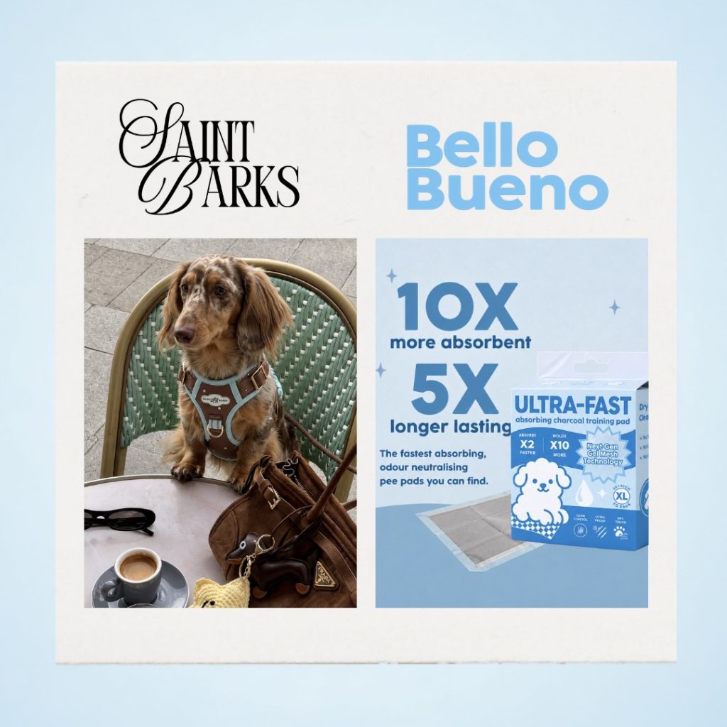 Bello Bueno & Saint Barks