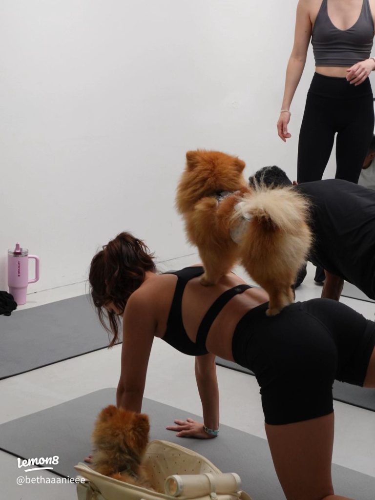 YOGA & PILATES WITH PETS