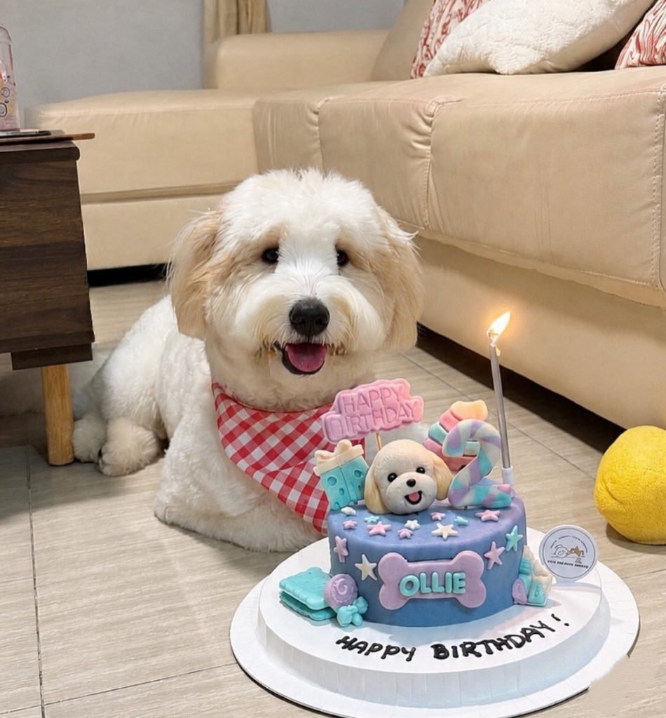 Pets Delight Bakery