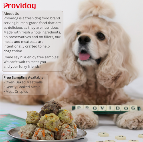 Providog