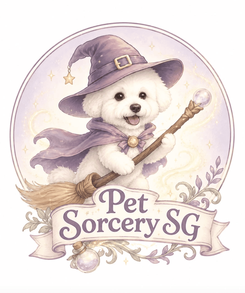 Pet Sorcery Sg