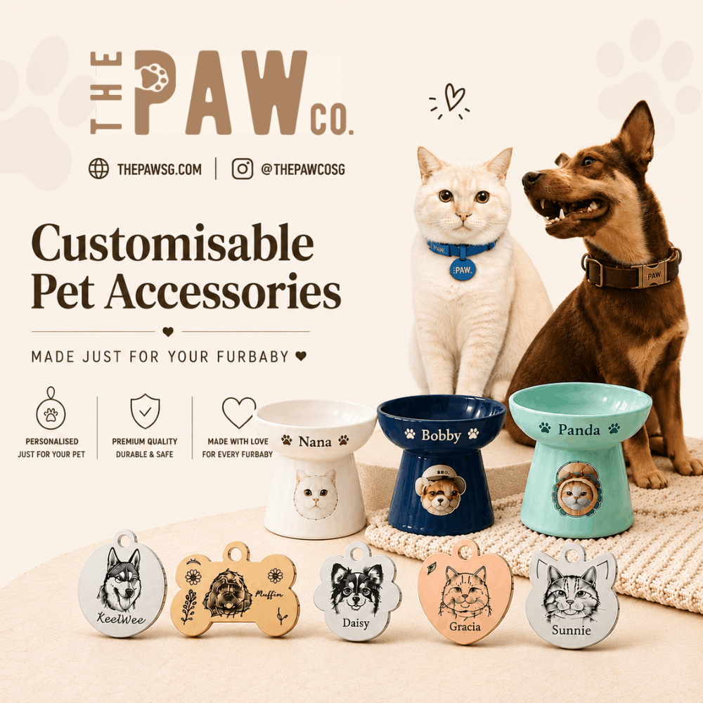 The Paw Co.